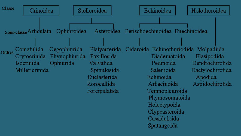 Tableau