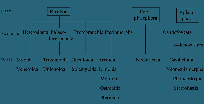 Tableau